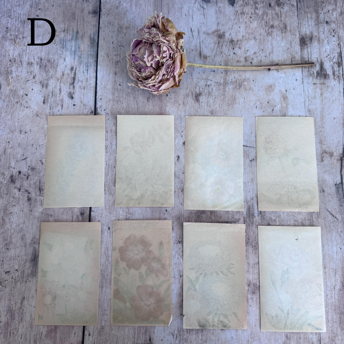 French Vintage Seed Label Packs – detail 25