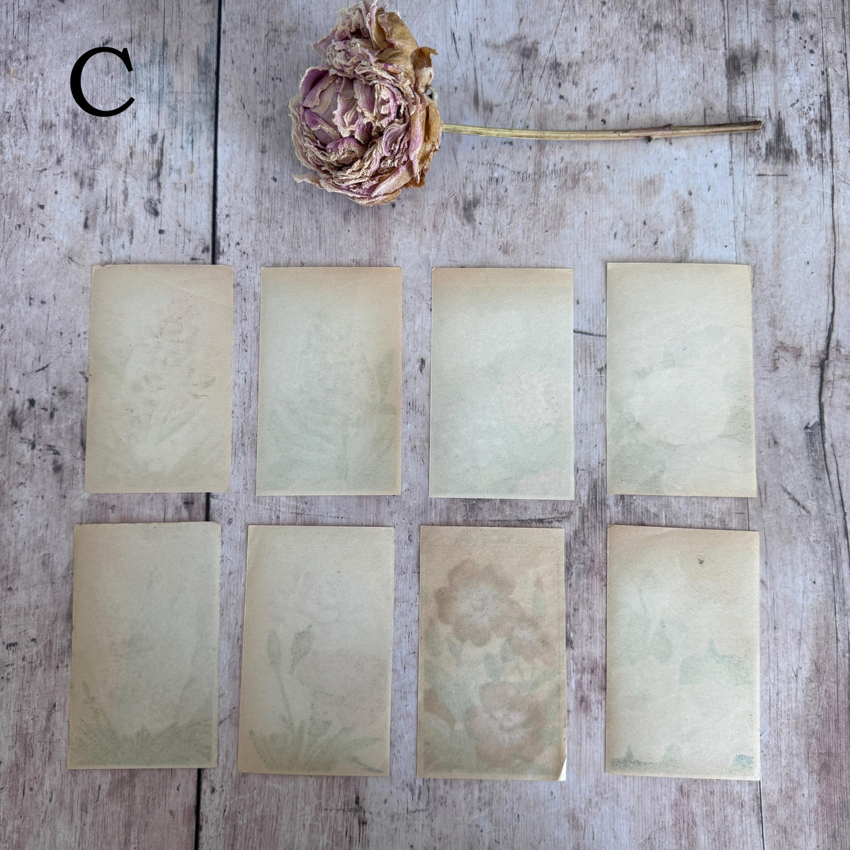French Vintage Seed Label Packs – detail 23