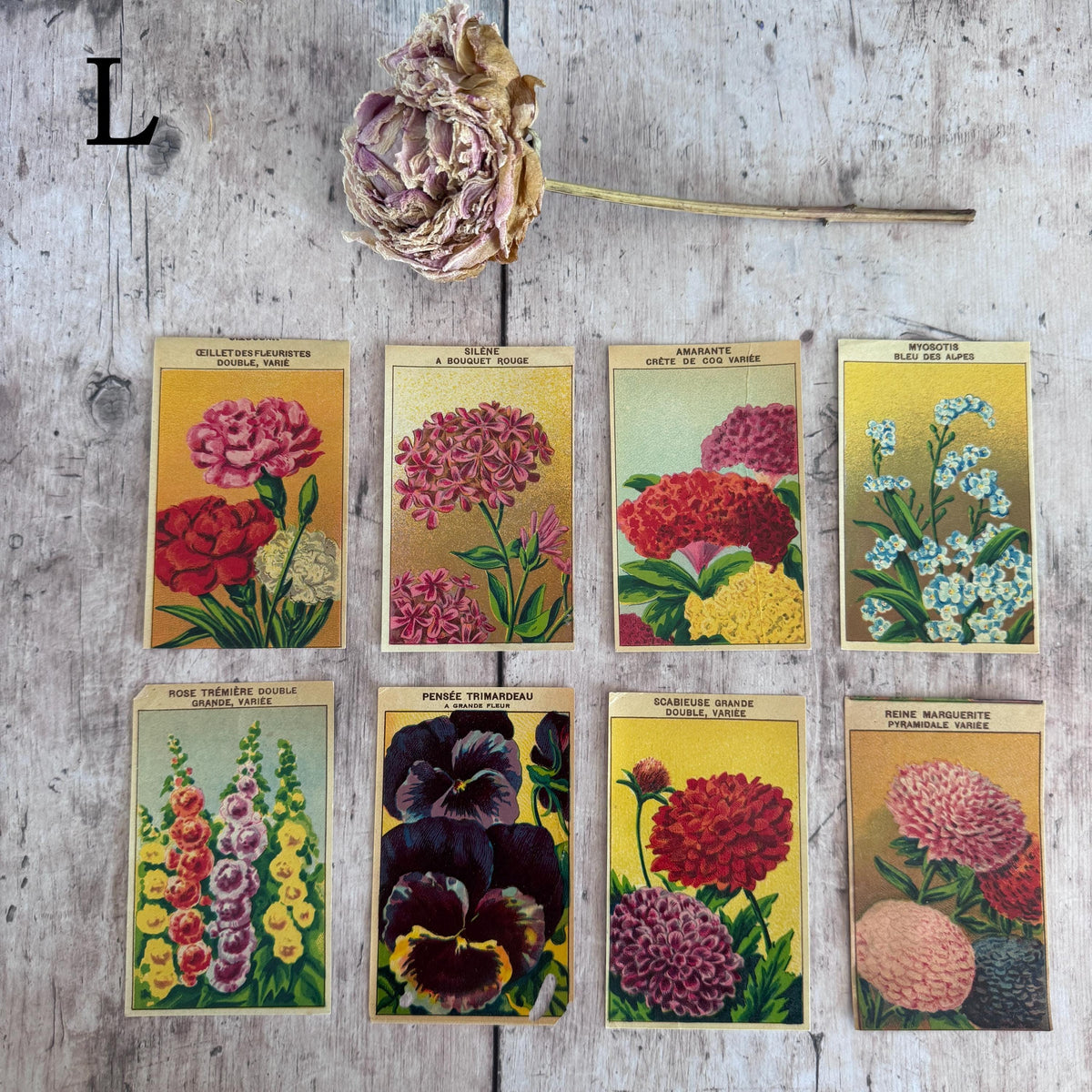French Vintage Seed Label Packs – detail 16