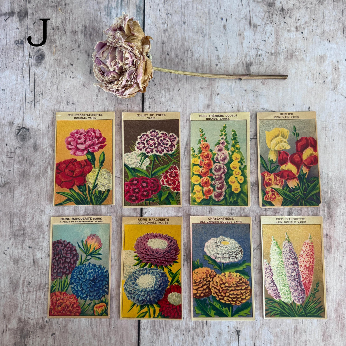 French Vintage Seed Label Packs – detail 12